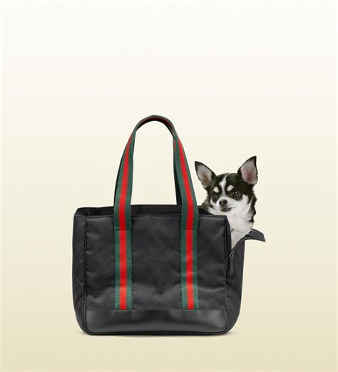 petje gucci|Gucci pet accessories.